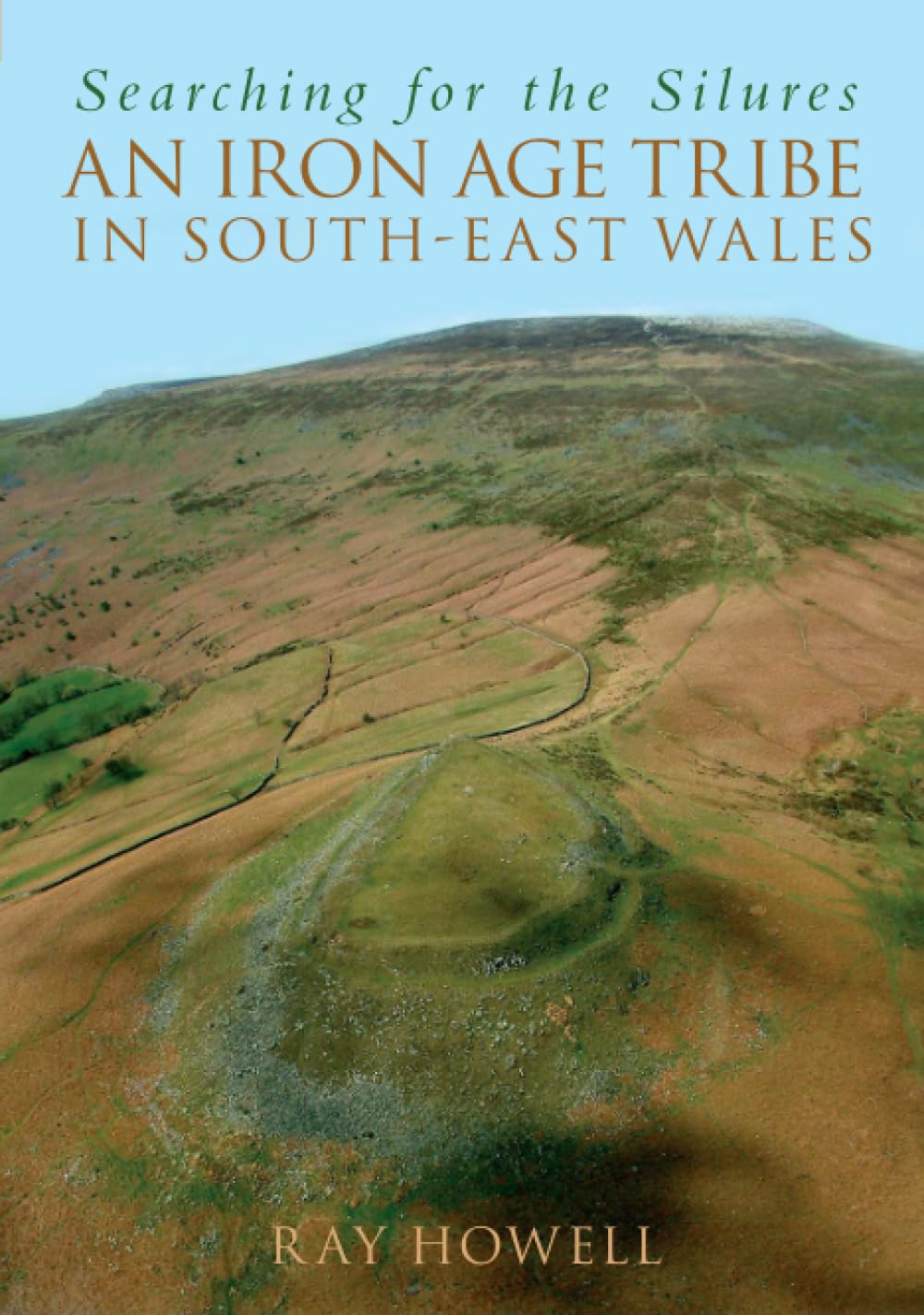 Searching for the Silures book cover