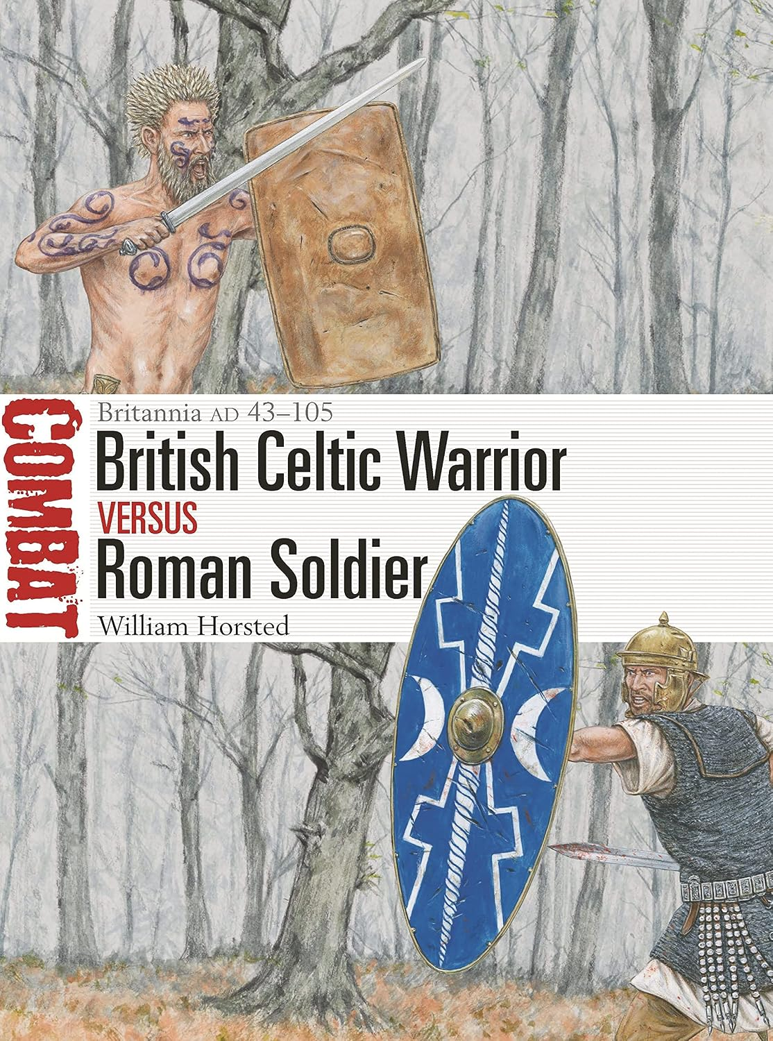 British Celtic Warrior vs Roman Soldier book cover